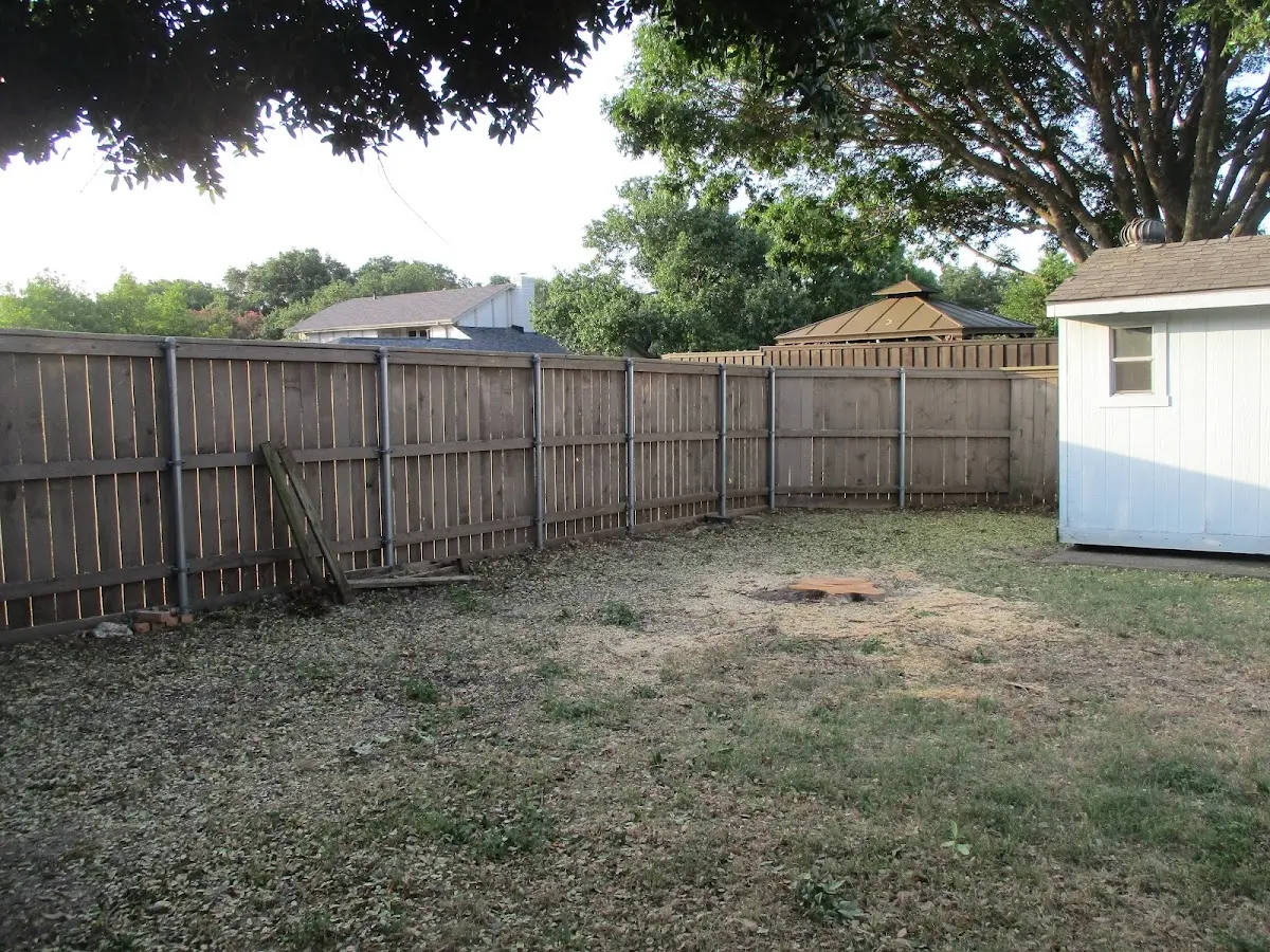 Cleared yard after professional tree removal in Tipton